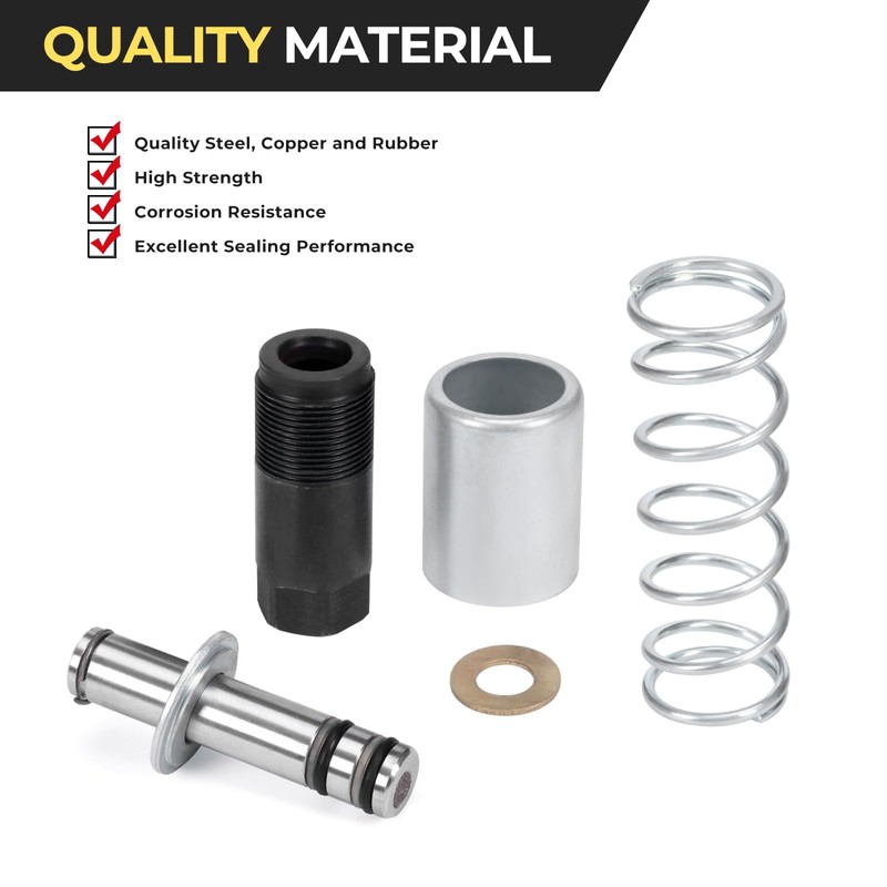 Atesilor Low Side Smaller Pump Piston Plunger Kit, Universal Fit