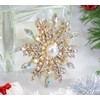 Gyn&Joy Crystal Winter Snowflake Brooch pins for Women, crystal, crystal