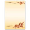 Letter Paper Set 20 Pieces Flowers and Petals 10 Sheets