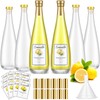 Maxcheck 6 Set 18 oz 550 ml Lemoncello Glass Wine