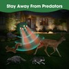 2 Pack NAVISOVL Solar Ultrasonic Animal Repellent Outdoor Cat, Squirrel,