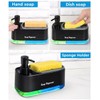 Richenda Hand and Dish Soap Dispenser Set for Kitchen,3-in-1 Kitchen