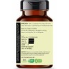 AYURVEDASHREE Senna Extract 500mg - 60 Vegetarian Capsules | Cassia