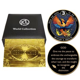 Phoenix 3 Years Sobriety Commemorative Gift Set Recovery Anniversary Gift AA/NA Inspirational Medallion Unisex Sobriety Milestone Keepsake with Exquisite Coin Storage Boxes