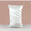 19 Momme Mulberry Silk Pillow Cases for Hair and Skin