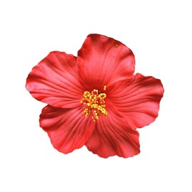 Xinjincang 2Pcs Red Hawaiian Flower Hair Clip for Women Girls Fashion Bohemian Flowers Hair Accessory for Dancer Bridal Wedding Beach Party Hair Clip Clips and Barrettes Hair Care Hair Accessories