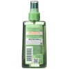 Garnier Fructis Sleek & Shine Zero Smoothing Light Spray light