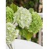 Clycaloor 6 Pcs Green Hydrangea Flowers Bouquets Silk Hydrangea Flowers