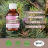 Organic Pine Water 250 ml - Pinus Cembra Twig Leaf