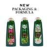 Tracia O2 Shield Shampoo 320ml