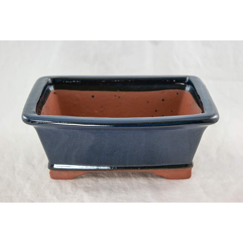 8" Rectangular Dark Blue Bonsai Pot, Cactus & Succulent Planter