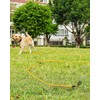 Joytale Long Leash for Dog with Removable Padded Handle, Heavy