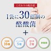 Lactobacillus Supplement, Intestinal Activity, Lactic Acid Bacteria Supplement, Support Ingredients