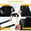 LeleTail Adjustable Back Support for Medium Dogs - Joint Support