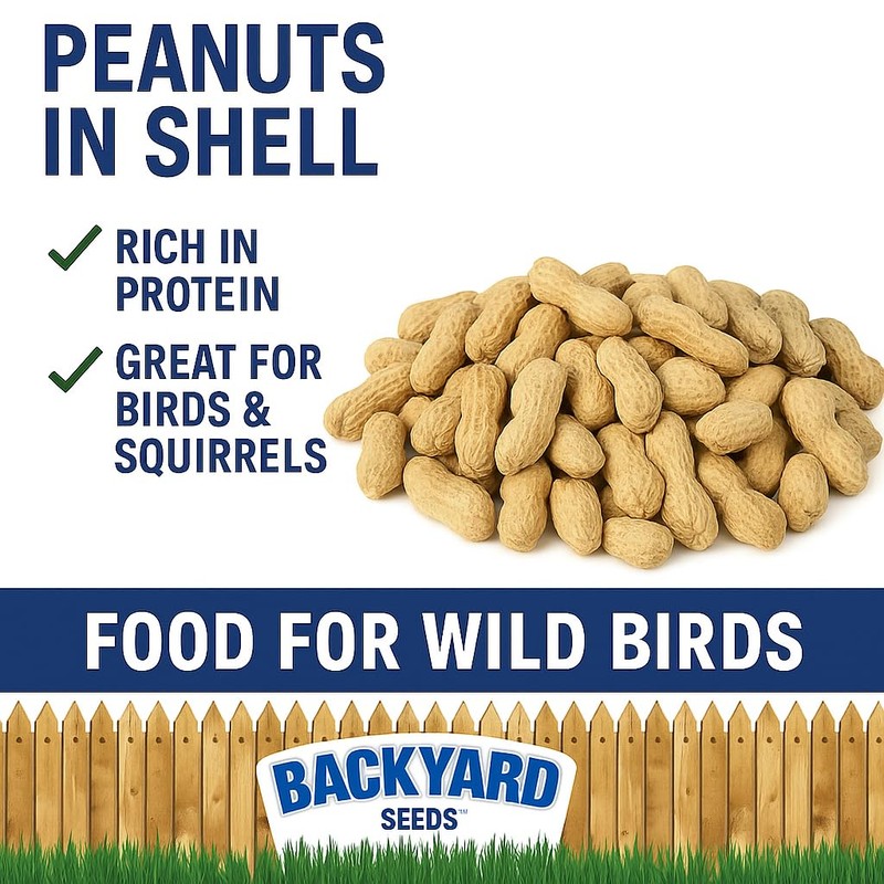 CountryMax Backyard Seeds in-Shell Raw Unprocessed Peanuts 5lbs - Premium