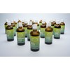 RATHAUS APOTHEKE WIEN Knospenextrakt - Gemmotherapie - Darm - 100