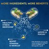 150 Capsules - Ashwagandha Capsule - Great Strength 12050mg. Blende