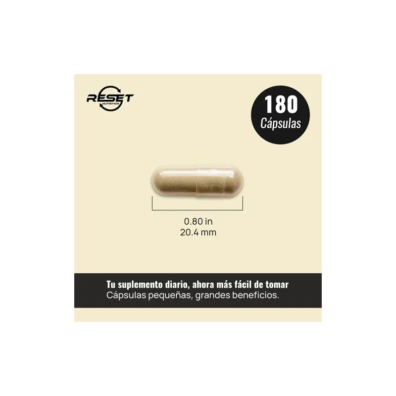 Reset Nutrition Complejo De Hongos Energía Memoria 180 Cáps Sabor