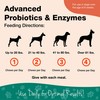 NaturVet – Advanced Probiotics & Enzymes - Plus Vet Strength