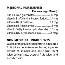 Flora Iron+ Liquid Iron Supplement, Vegan, Non-constipating, 240 mL