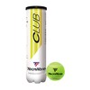Tecnifibre Club Tennis Balls (4 balls)