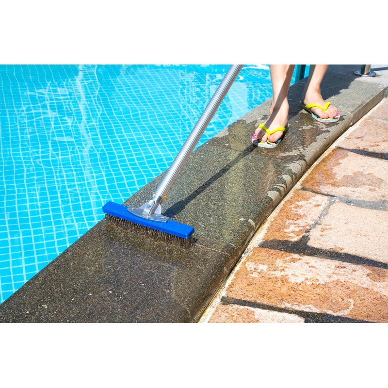 Aquatix Pro Heavy Duty Pool Brush, Durable 10" Swimming Pool