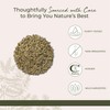 Starwest Botanicals Oregon Grape Root Wildcrafted - Dried Loose Herb