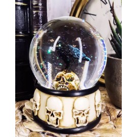 Small Gothic Day Of The Dead Edgar Allan Poe Raven On Skull Glitter Water Globe