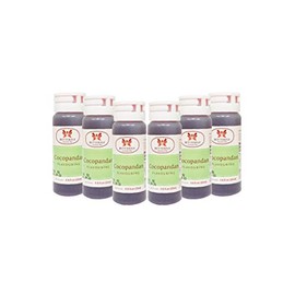 Butterfly Flavoring Extract Paste, Cocopandan, 25 ml (Pack of 6) – Pandan Extract for Baking, Drinks, Desserts, Syrups, and Beverages