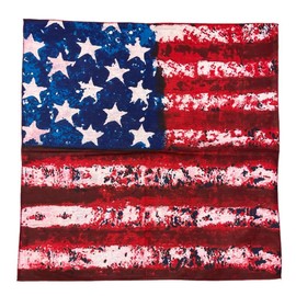 V5 American Flag Bandana 100% Cotton - 21 inches - Bulk Wholesale Packs 3 Designs (USA StoneWash Flag, 48), 22x22