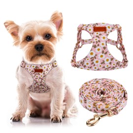 CHEDE No Pull Floral Pattern Dog Harness- Lightweight, Soft, Adjustable Small Harness and Leash Set, Suitable for Puppy Small and Medium-Sized Dog (XS, Pink Daisy)