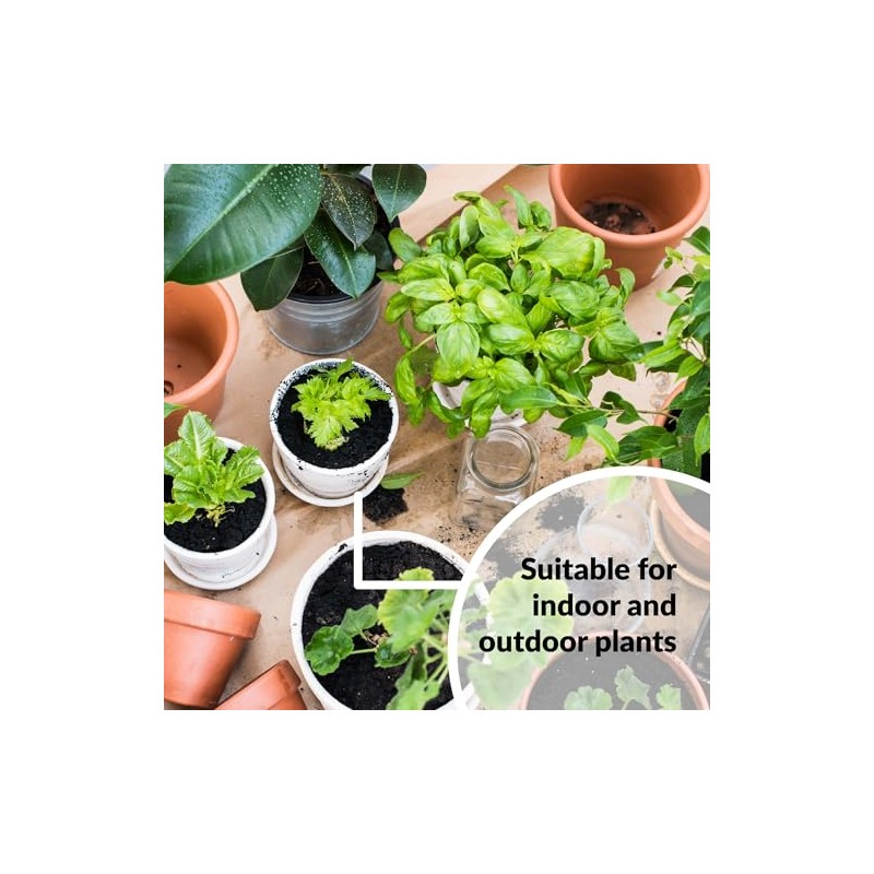 SUPERthrive Plant Vitamin Solution, 1 Gallon, Clear