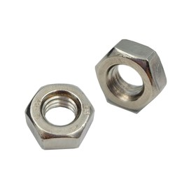 Tom's world 10Pcs M10-1.5 Hex Nut Assortment Set Stainless Steel 304(18-8) Metric Hexagon Nut for Bolts, Bright Finish, Full Thread (M10)