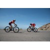 TIFOSI Intense Interchangeable Lens Sunglasses: Interchangeable Lenses, Lightweight, UV Protection,