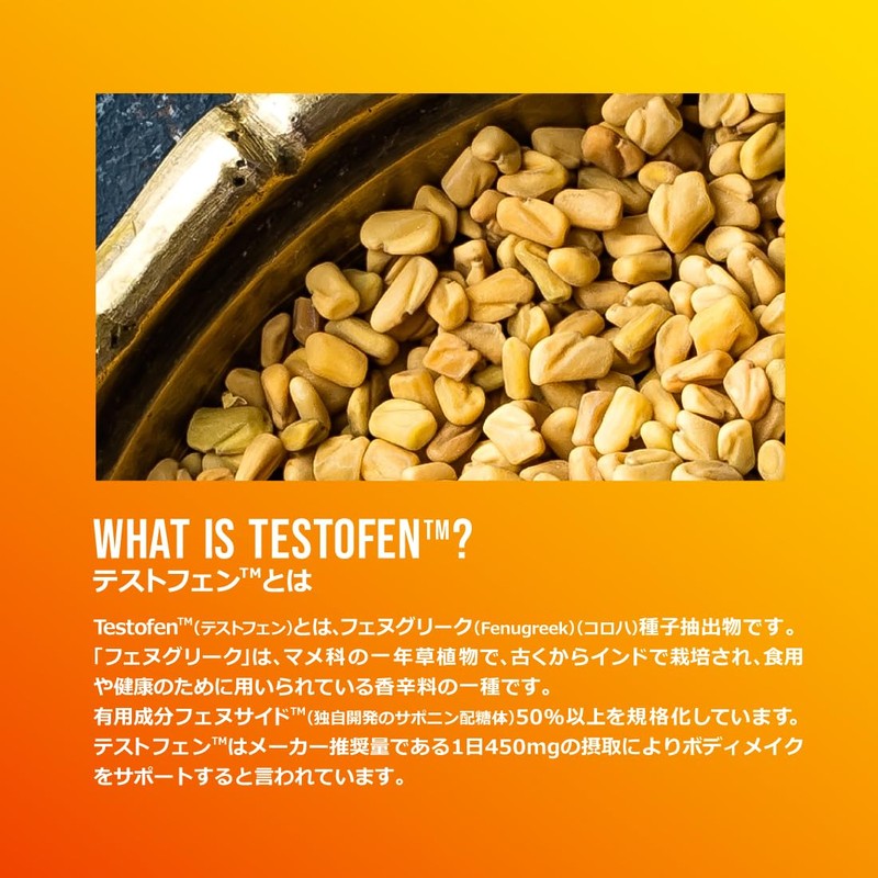 FINE SPORTS 国産ボディケアサポート系サプリ テストフェン＋マカ フェヌグリーク種子 テストステロン 特許成分 酵素分解マカ 90粒30日分