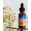 Herb Pharm Certified Organic Chamomile Liquid Extract for Calming Nervous