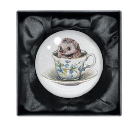 Emillie Ferris Baby Hedgehog Crystal Dome Paperweight