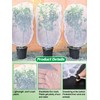 9 Pack Insect Bird Netting Cover for Garden - 3