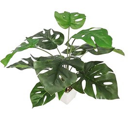 19" Monstera Leaves Potted Plants