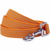 Blueberry Pet Essentials Reflective Better Basics Dog Leash, Apricot, 5