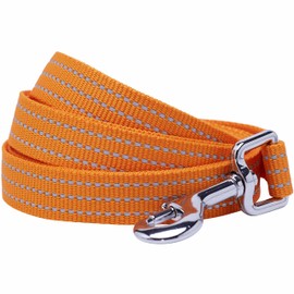 Blueberry Pet Essentials Reflective Better Basics Dog Leash, Apricot, 5 ft x 3/4", Medium, Leashes for Dogs