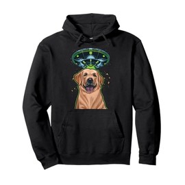 Selfie Labrador Retriever Spotted Alien UFO Meme Lab Owner Pullover Hoodie