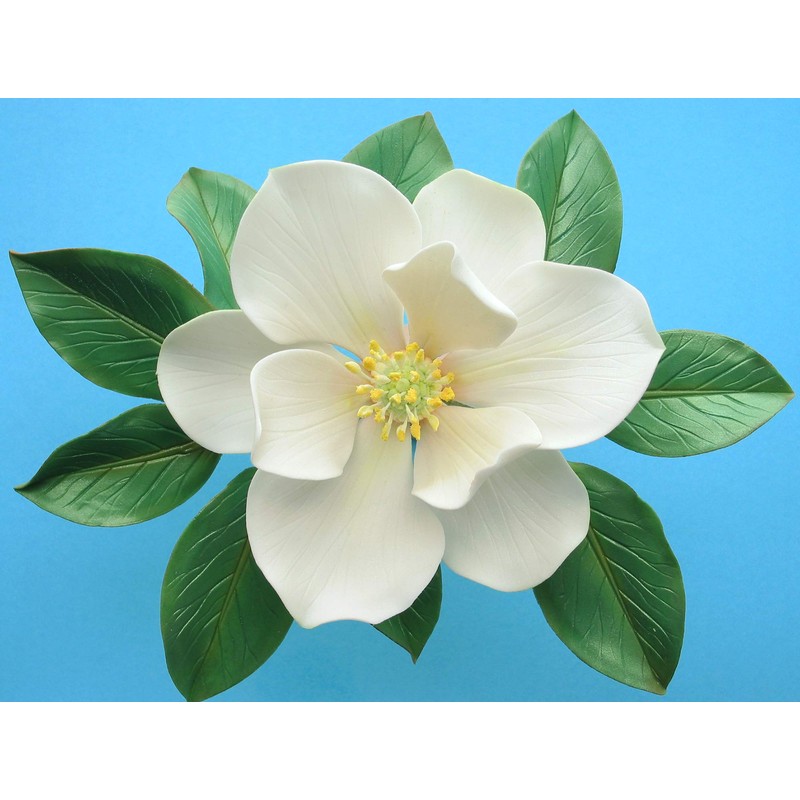 Southern Magnolia Double-sided Leaf Veiners