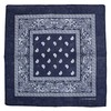 Zac's Alter Ego Retro Vintage Style Cowboy Paisley Bandana/Neckerchief/Durag