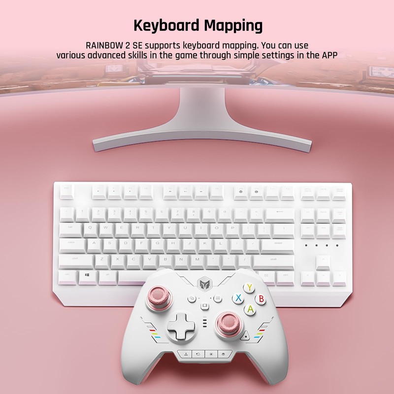 PC Controller, BIGBIG WON Rainbow 2 SE Wireless Controller Motion