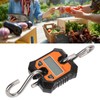 Digital Fishing Scale Multifunction 0.2kg to 100kg Portable Electronic Hook