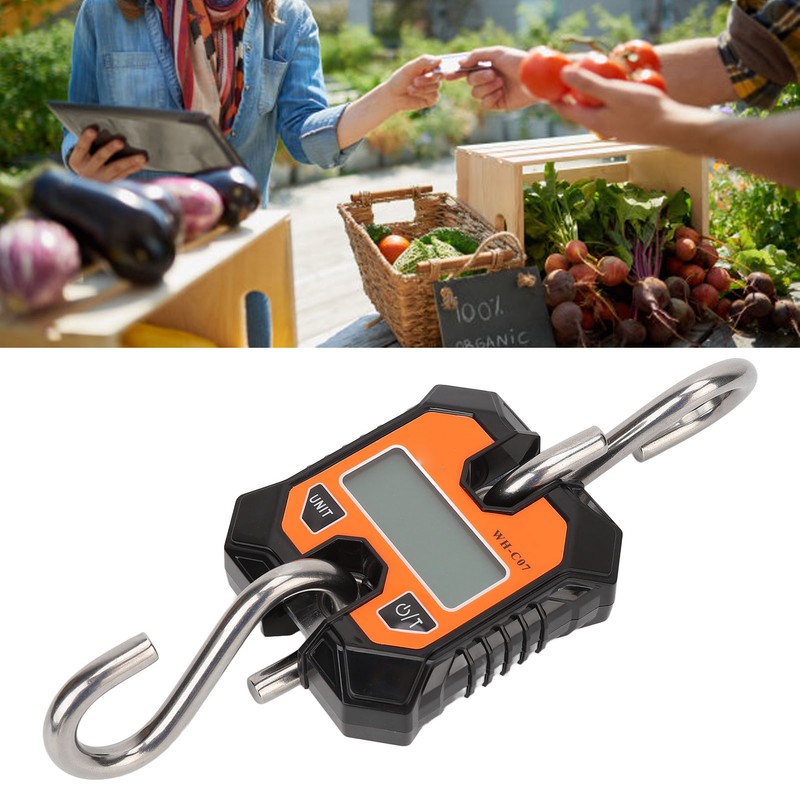 Digital Fishing Scale Multifunction 0.2kg to 100kg Portable Electronic Hook