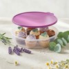 Tupperware 12" Round Container with Seal (Raddish)