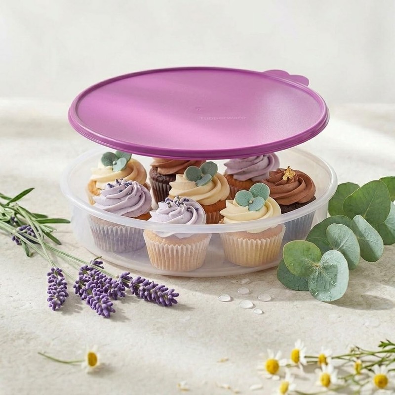 Tupperware 12" Round Container with Seal (Raddish)