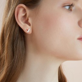 JZCOLOR Teacher Apple Appreciation Earrings for Women - Sterling Silver Apple Ruler Stud Earrings With CZ Thank You Teacher Appreciation Week Jewelry Gifts for Teachers